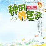 ϵͳ֮����������