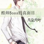 ��˧Boss������Ŀ
