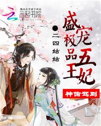 ��͵�ݵ���ʢ�輫Ʒ������