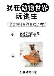 ����������ϵ��GL��