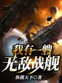 ����һ���޵�ս��