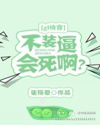 ��װ�ƻ�����