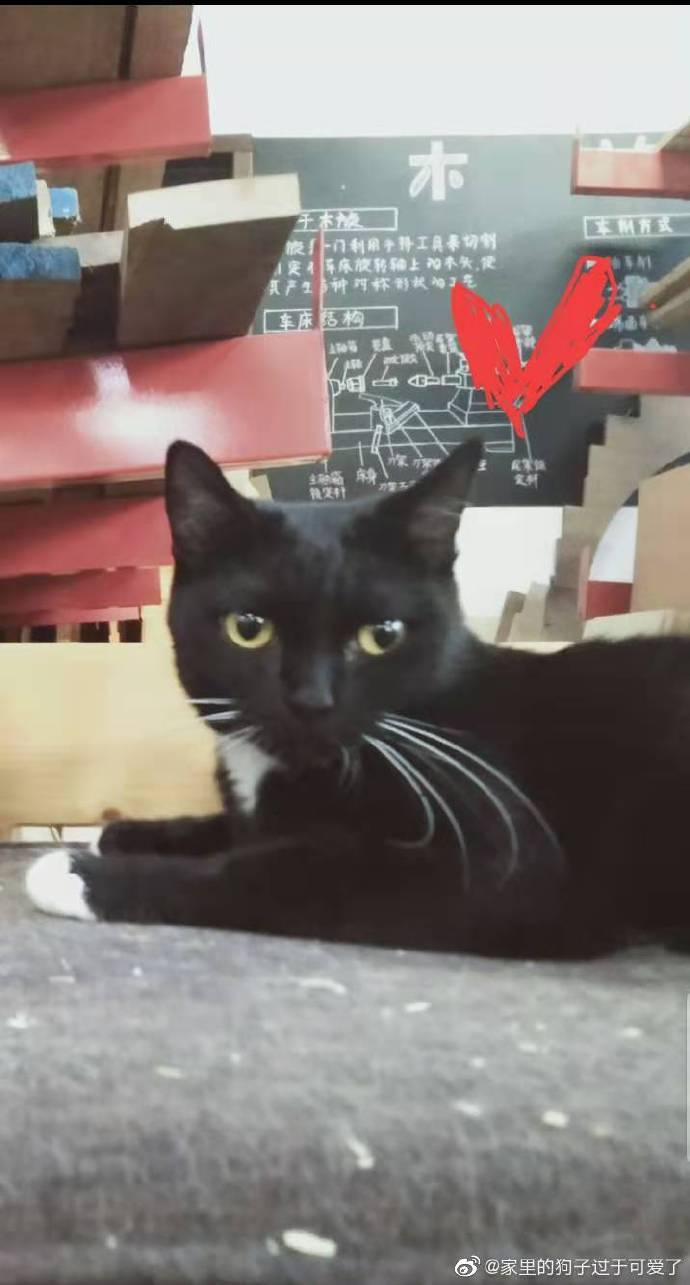 [����]�������߸���������޳�����������