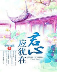 ����Ӧ����