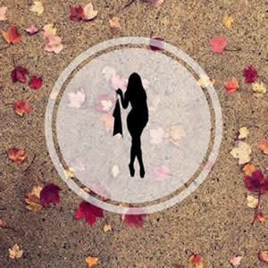 ȫ������