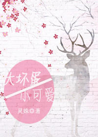 �󻵵���С�ɰ�