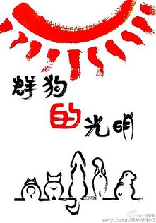 Ⱥ���Ĺ���